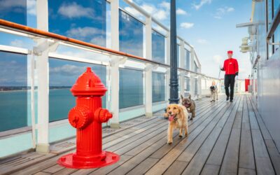 Pet-Friendly Cruises: Can You Really Cruise With Your Dog or Cat?